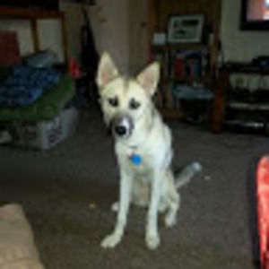 Meet your Posher, Brad